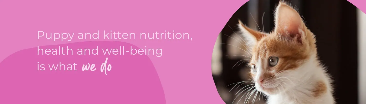 Start of Life for Your Puppy or Kitten