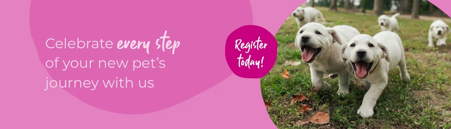 Start of Life for Your Puppy or Kitten