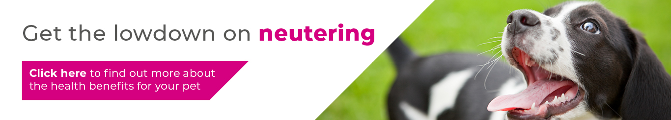 neutering-ppc