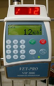 Infusion pump in use treating a sick cat in hospital