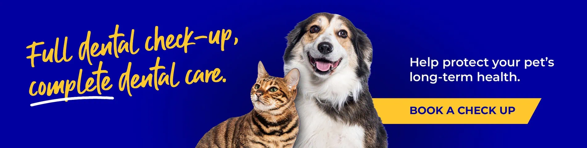 Leading Vets in Tamworth and Atherstone