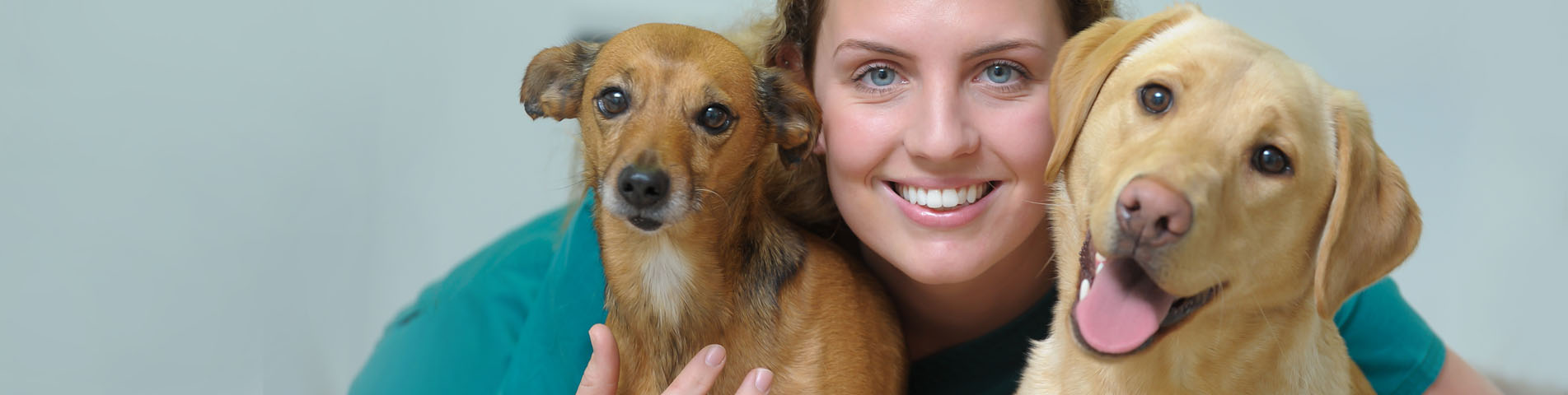 Leading Vets in Tamworth and Atherstone