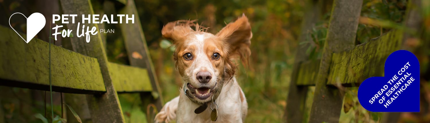 Dog Pet Health for Life Plan